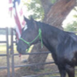 Meet your Posher, Tracy